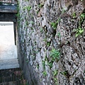 農試場 (12 - 43).jpg
