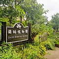 蘭科植物園 (3 - 42).jpg