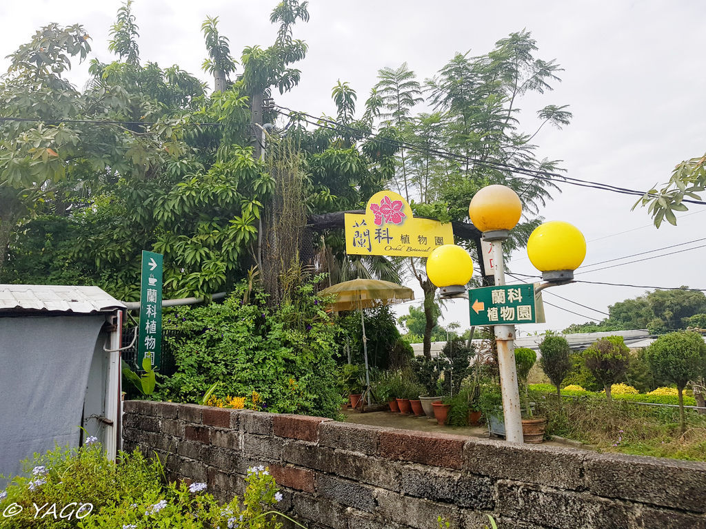 蘭科植物園 (1 - 42).jpg 蘭科植物園 (1 - 42).jpg