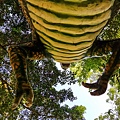 恐龍公園 (10 - 15).jpg