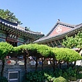 釜山 (277 - 1179).jpg