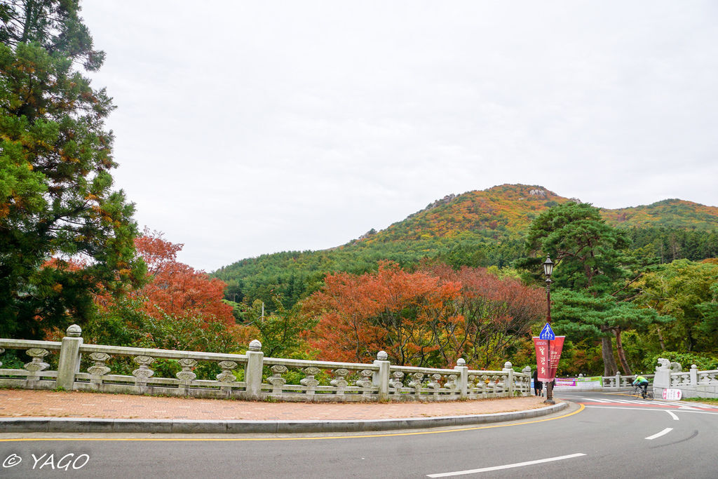 釜山 (850 - 1179).jpg