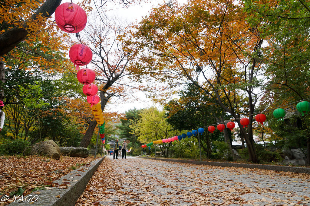 釜山 (857 - 1179).jpg