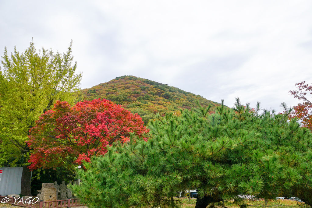 釜山 (917 - 1179).jpg