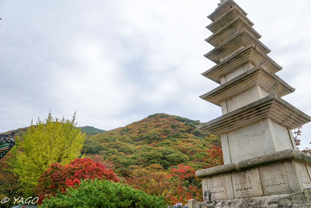 釜山 (916 - 1179).jpg