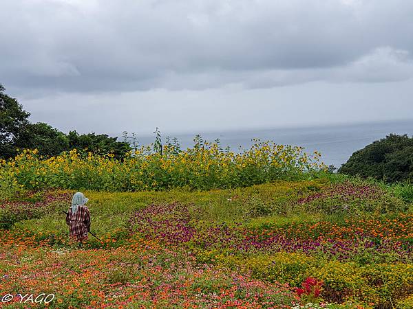 鳥取 (12 - 190).jpg