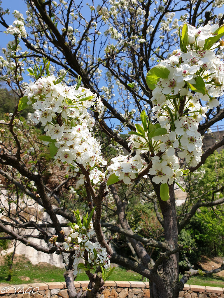 南竿 (73 - 196).jpg