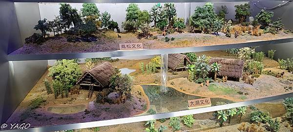 化石 (10 - 146).jpg