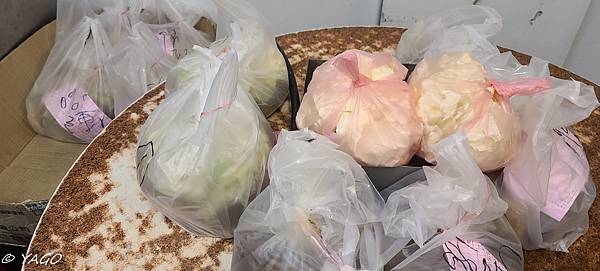 打槍 (152 - 159).jpg