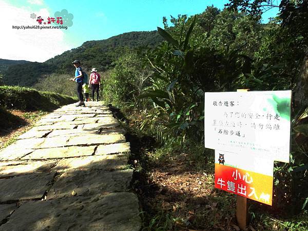 許莉。東北角草嶺古道