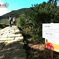 許莉。東北角草嶺古道