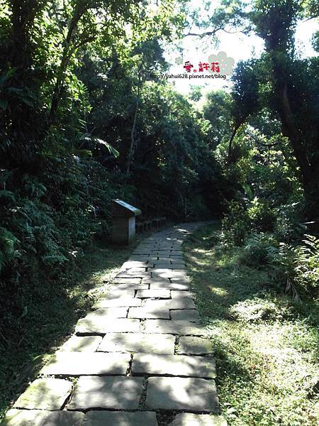 許莉。東北角草嶺古道