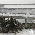 玉山下雪3