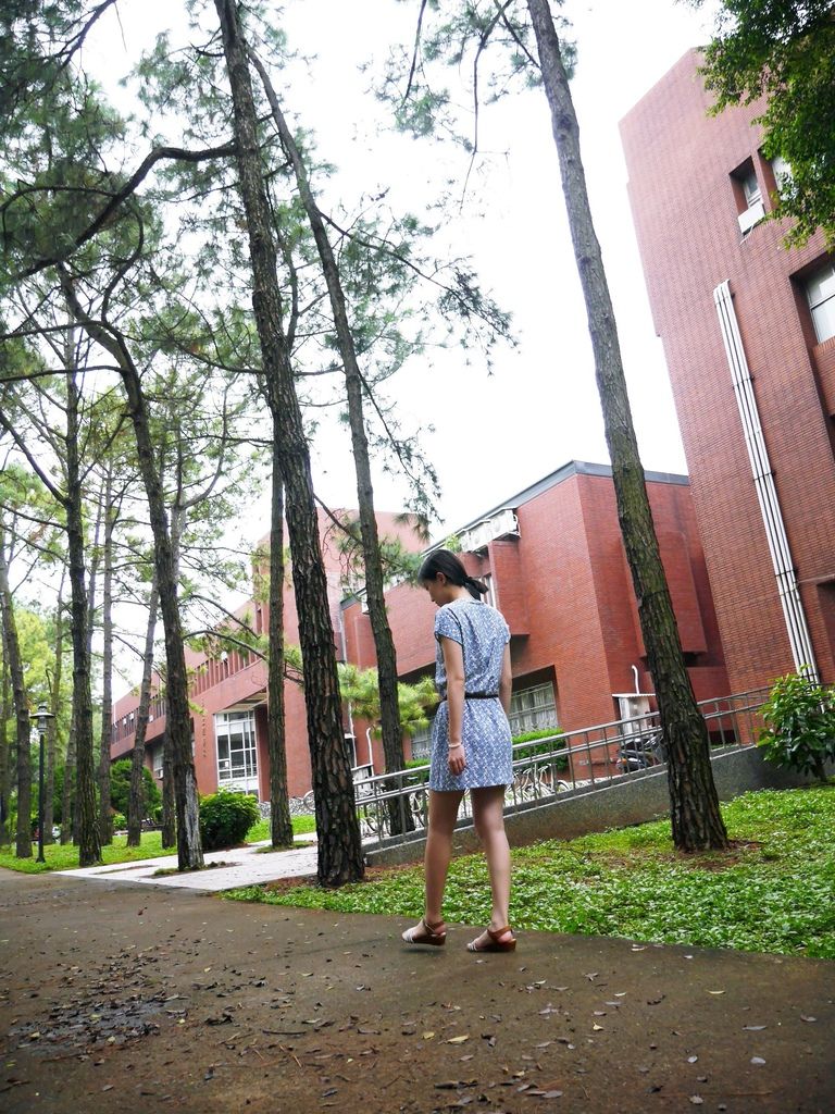 P1380553.JPG