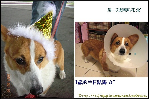 08'0320 改6 1歲.jpg