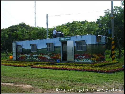 青青草原2.jpg