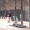 佛斯居廣場Place des Vosges.jpg