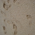 our foot prints