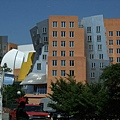 Stata Center