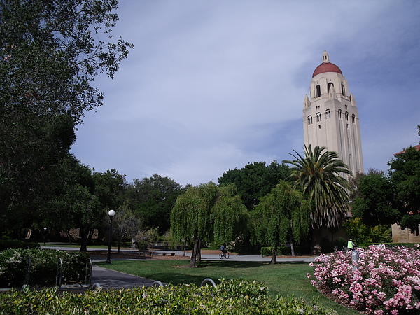 stanford