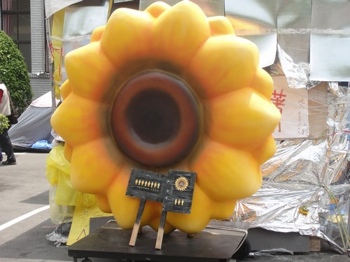 太陽花