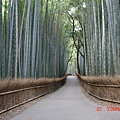 京都