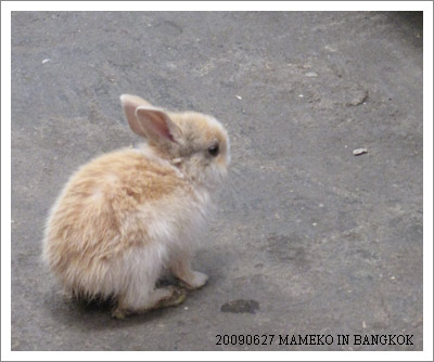 20090920leisure-time.jpg 20090920leisure-time.jpg
