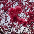 DSC00880