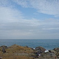 DSC00719