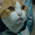 DSC00756