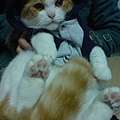 DSC00759