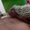 DSC01084