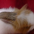DSC00574