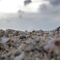 P8180134.JPG