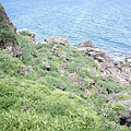 P8180110.JPG