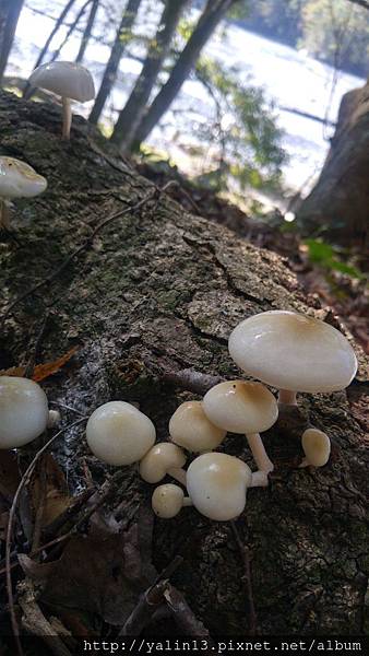 20171118_100716_HDR 20171118_100716_HDR
