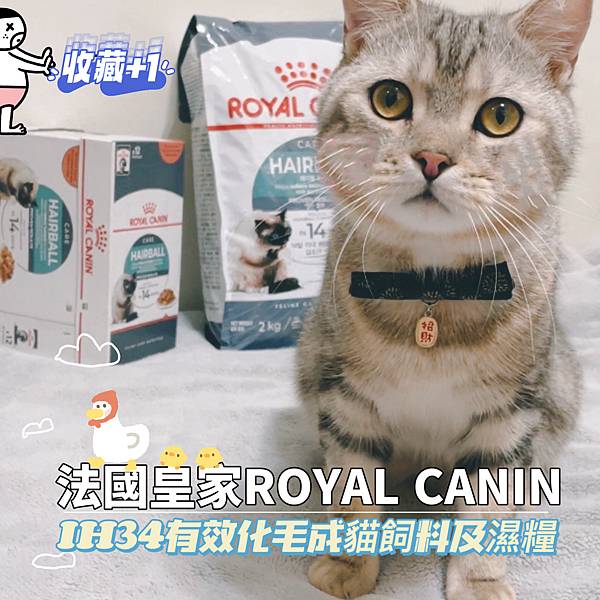 產品分享｜法國皇家ROYAL CANIN ．IH34有效化毛