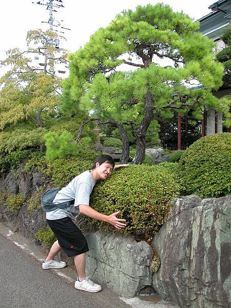 草莓園旁的民宿的草叢(抱起來應該挺爽的吧,瞧~偉倫如此陶醉呢)