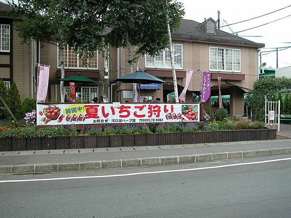 採草莓的廣告(店後面有間很漂亮的花園)