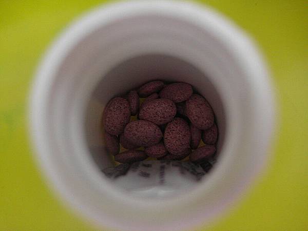 SAM_1451_副本 試用