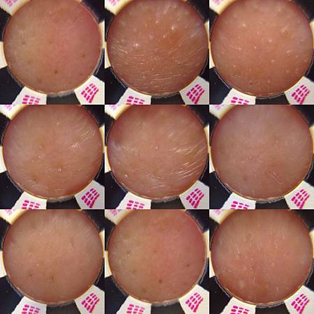 S__22626332.jpg S__22626332.jpg