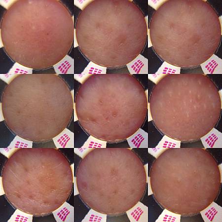 S__22626333.jpg S__22626333.jpg