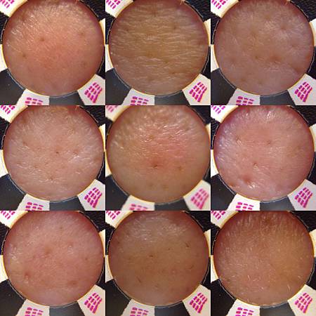 S__22626334.jpg S__22626334.jpg