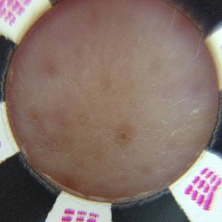 S__22626340.jpg S__22626340.jpg