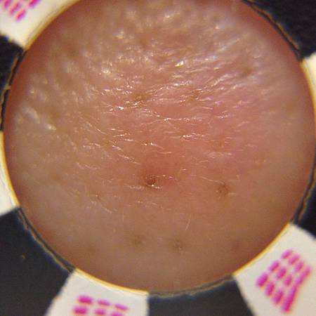 S__22626341.jpg S__22626341.jpg