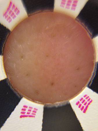 S__22626342.jpg S__22626342.jpg