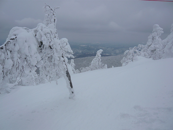 2010山形~秋田~阿仁合~樹冰 176.jpg