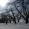 2010山形~角館~檜木內川岸垂柳櫻 071.jpg