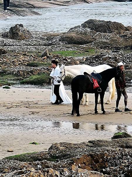 青島海邊的白紗...下篇