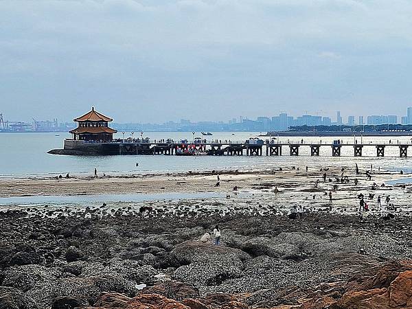 青島棧橋海邊吹風